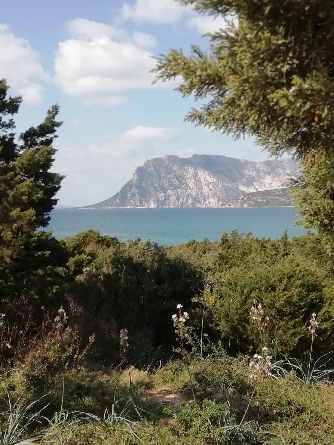 سان تيودورو Frina Di Mari B&B المظهر الخارجي الصورة